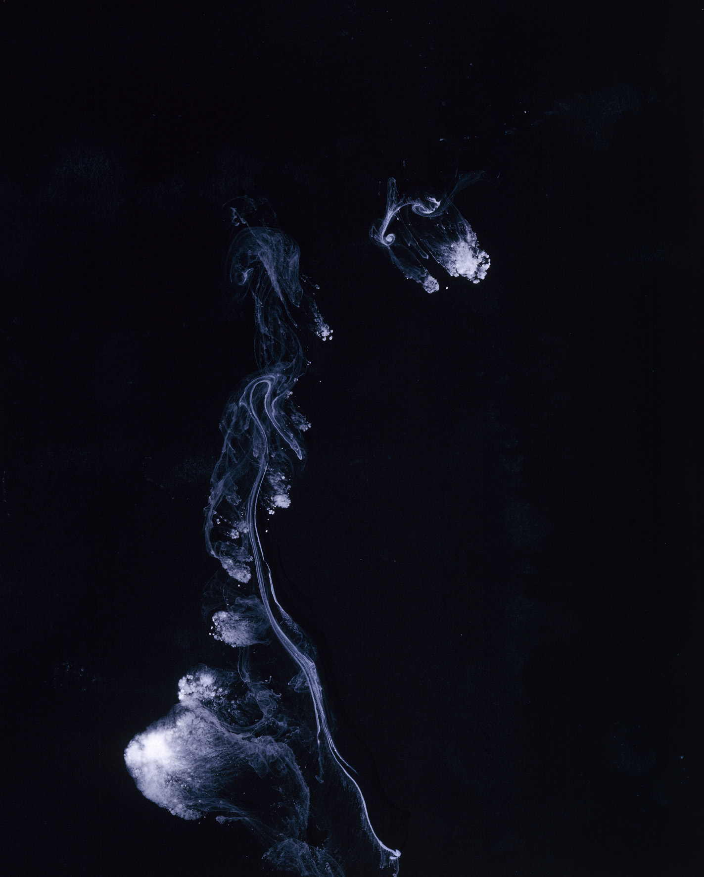 "Untitled XI" 2009, stampa cromogenica su diasec, 57 x 46 cm
