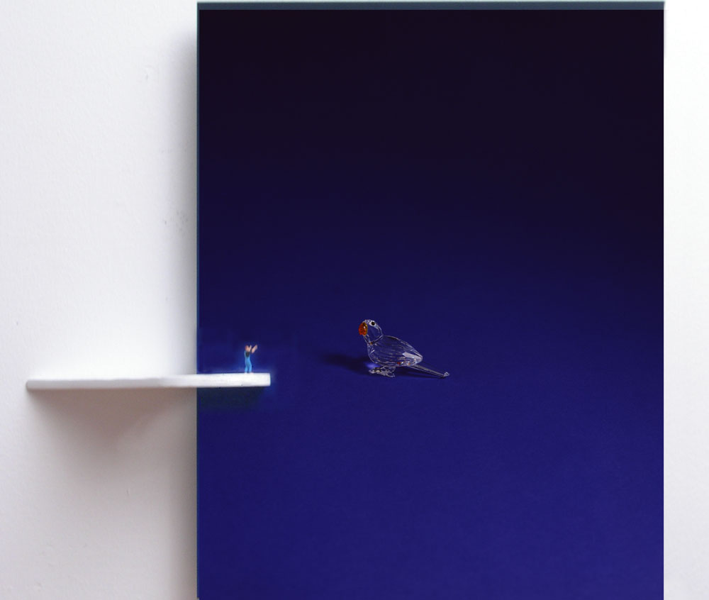 “Situation with Blue Bird” 2005, tecnica mista, 46 x 48 x 9 cm